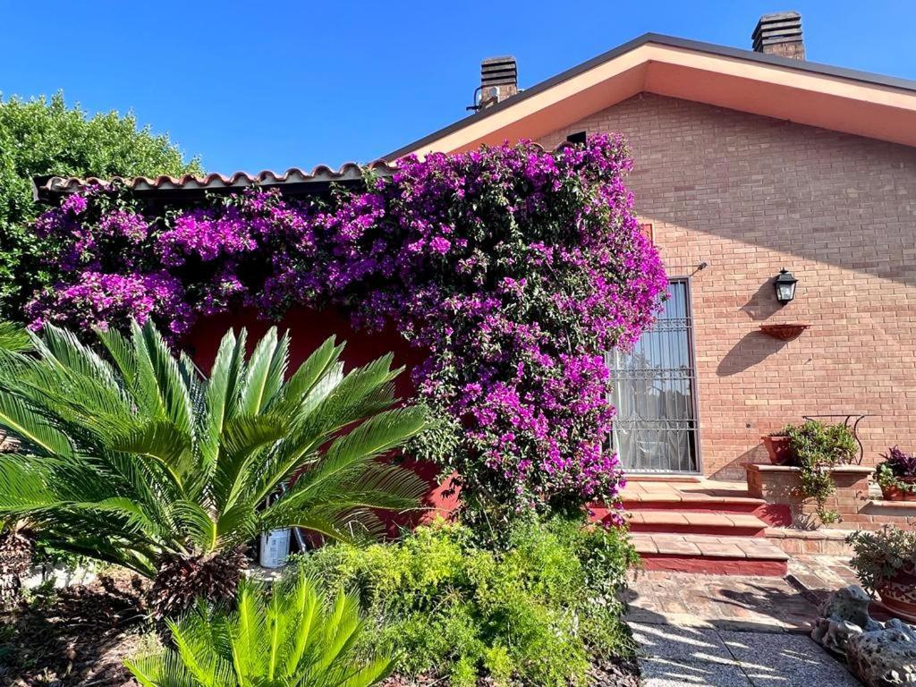 B&B La Casa Di Era Porto San Giorgio Zewnętrze zdjęcie