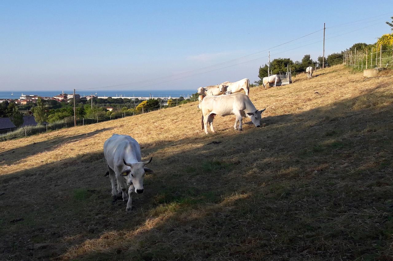 B&B La Casa Di Era Porto San Giorgio Zewnętrze zdjęcie